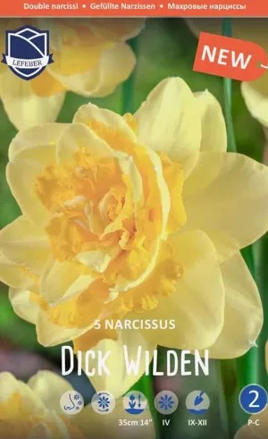 Нарциссы Dick Wilden (Lefeber), 1 шт - фото