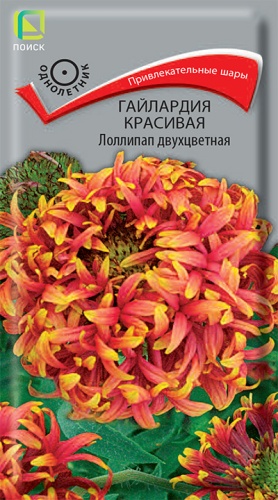Семена Гайлардия Красивая Лоллипап двухцветная, 0,1 г - фото