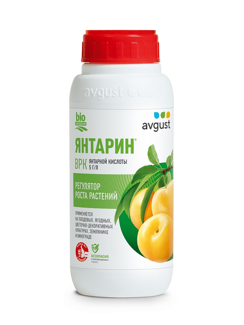 Янтарин, 500 мл - фото