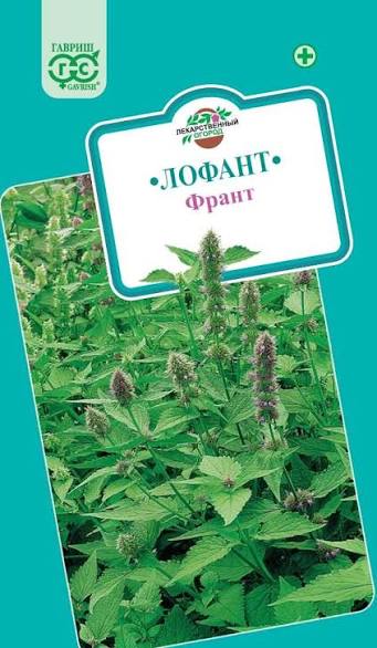 Семена Лофант Франт, 0,3 г - фото