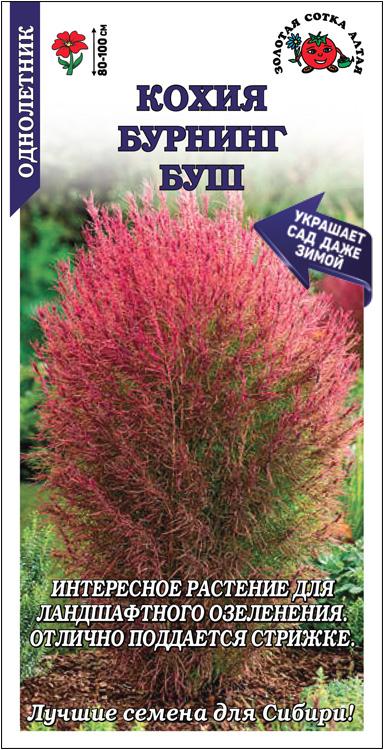 Семена Кохия Бурнинг Буш, 0,3 г - фото