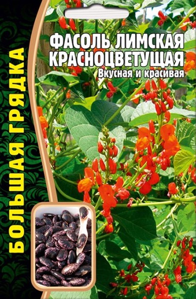 Семена Фасоль Лимская Красноцветущая, 5 г - фото