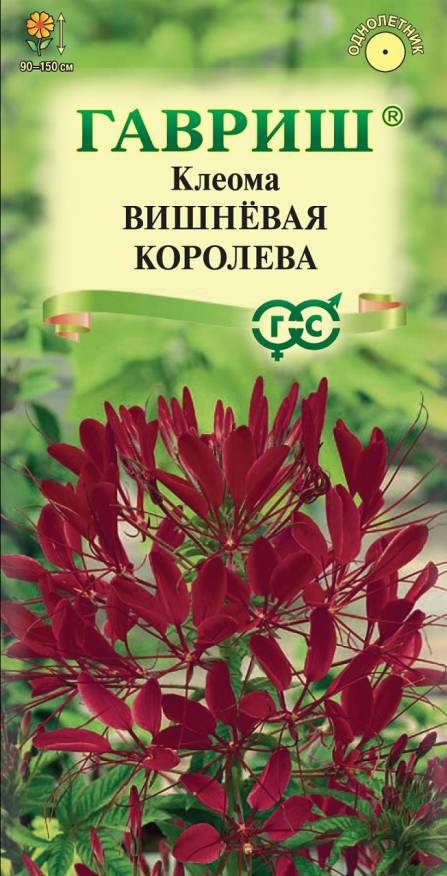 Семена Клеома Вишневая королева, 0,2 г - фото