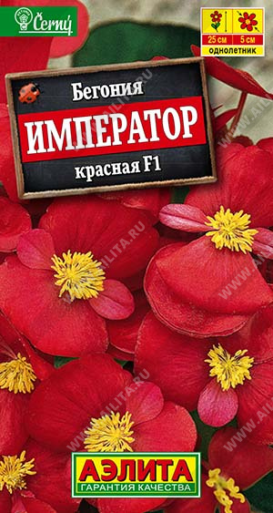 Семена Бегония вечноцветущая Император красная F1, 10 шт - фото