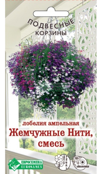 Семена Лобелия ампельная Жемчужные Нити смесь, 0,1 г - фото