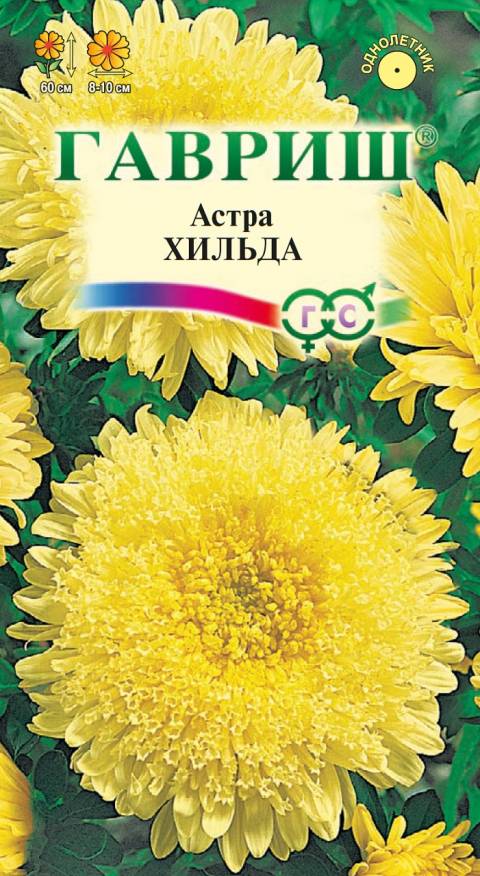 Семена Астра Хильда, 0,3 г - фото