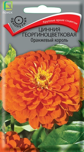 Семена Цинния георгиноцветковая Оранжевый король, 0,4 г - фото