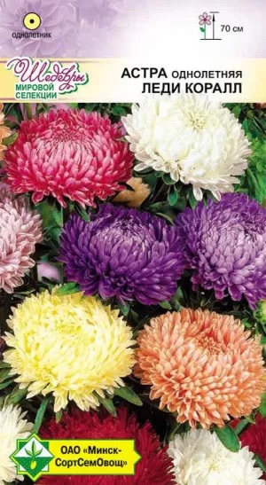 Семена Астра Леди Коралл смесь, 0,1 г - фото