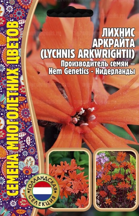 Семена Лихнис Аркрайта, 0,04 г - фото