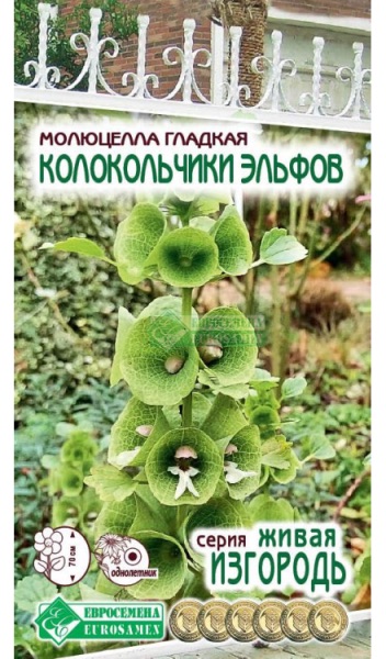 Семена Молюцелла гладкая Колокольчики Эльфов, 0,5 г - фото