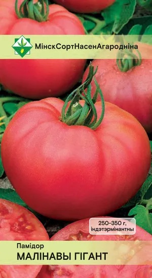 Семена Томат Малиновый гигант, 15 шт - фото