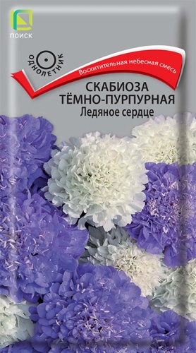 Семена Скабиоза тёмно-пурпурная Ледяное сердце, 10 шт - фото