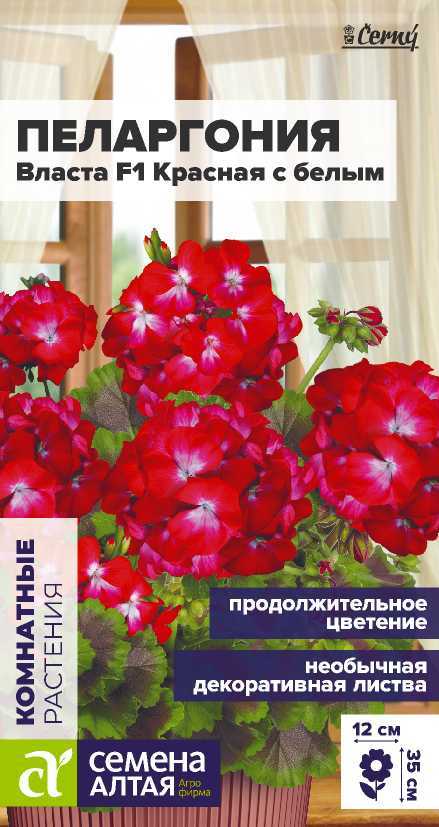 Семена Пеларгония Власта F1 красная с белым, 3 шт - фото