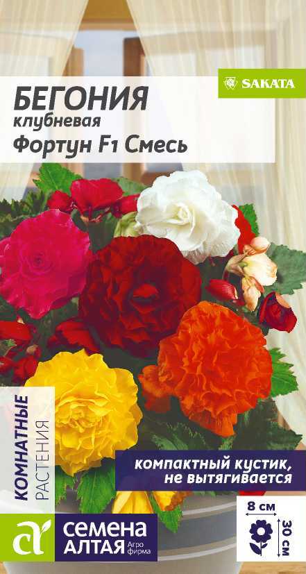 Семена Бегония Фортун F1 Смесь окрасок клубневая, 4 шт - фото
