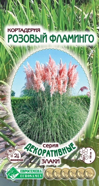 Семена Кортадерия Розовый фламинго, 0,05 г - фото