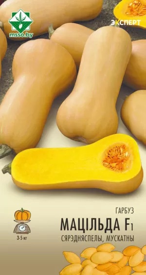 Семена Тыква Матильда F1 мускатная, 5 шт (Эксперт) - фото, картинка Семена Тыква Матильда F1 мускатная, 5 шт (Эксперт) - фото