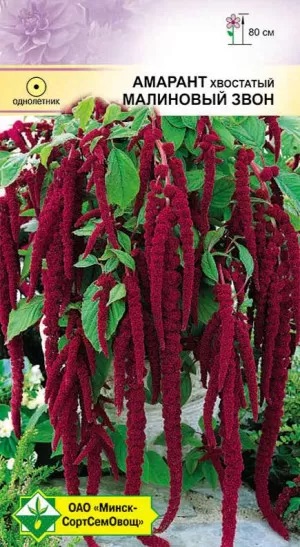 Семена Амарант хвостатый Малиновый звон, 0,5 г - фото