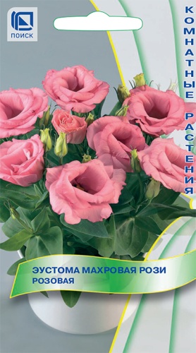 Семена Эустома махровая Рози Розовая, 5 шт - фото, картинка Семена Эустома махровая Рози Розовая, 5 шт - фото