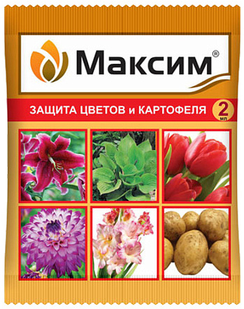 Максим защита цветов и картофеля, 2 мл - фото