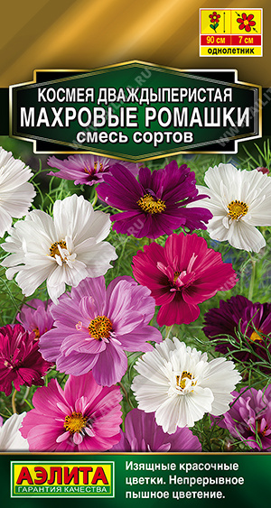 Семена Космея Махровые ромашки смесь сортов, 0,1 г - фото