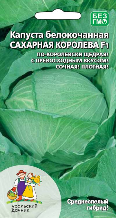 Семена Капуста белокочанная Сахарная королева, 0,3 г - фото