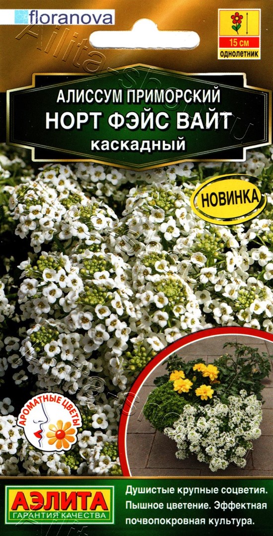 Семена Алиссум Норт фэйс вайт каскадный, 10 шт - фото