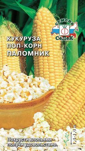 Семена Кукуруза Паломник (поп-корн), 5 г - фото