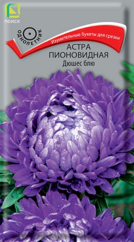 Семена Астра пионовидная Дюшес блю, 0,3 г - фото