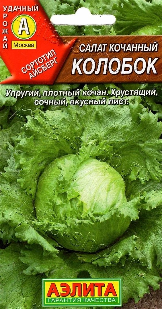 Семена Салат Колобок кочанный (тип Айсберг), 0,5 г - фото