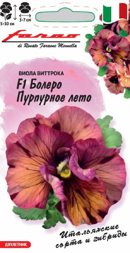 Семена Виола Болеро Пурпурное лето F1, Виттрока (Анютины глазки), 7 шт - фото