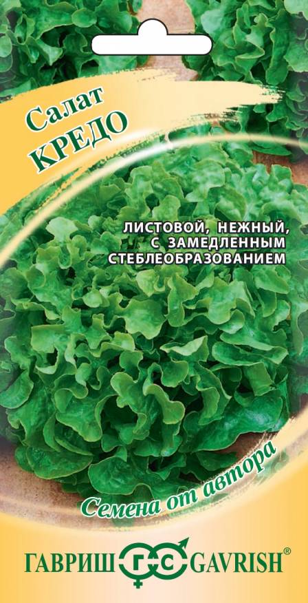Семена Салат листовой Кредо, 0,5 г - фото
