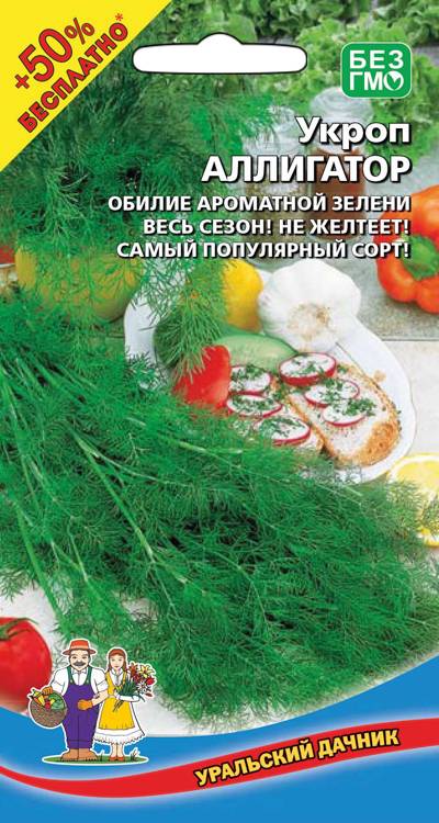 Семена Укроп Аллигатор, 1г+0,5 г УД - фото