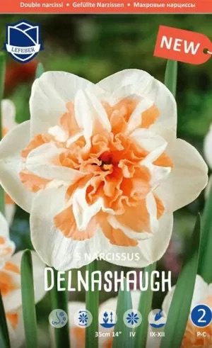 Нарциссы Delnashaugh (Lefeber), 1 шт - фото