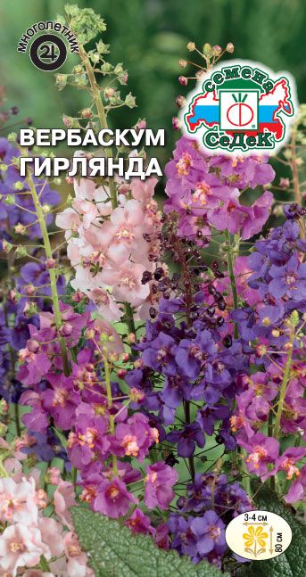 Семена Вербаскум Гирлянда (смесь), 0,1 г - фото