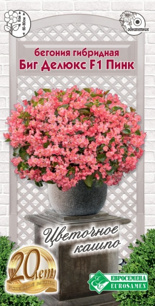 Семена Бегония гибридная Биг Делюкс Пинк, 3 шт - фото
