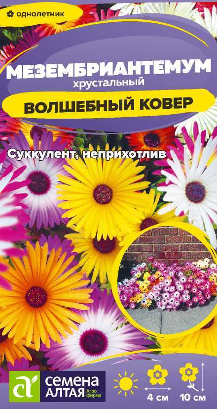 Семена Мезембриантемум Волшебный ковер, 0,05 г - фото