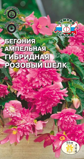 Семена Бегония Розовый Шелк F1 - фото