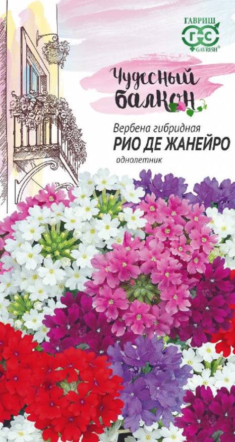 Семена Вербена гибридная Рио де Жанейро смесь, 0,05 г - фото