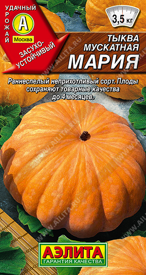 Семена Тыква мускатная Мария, 1 г - фото