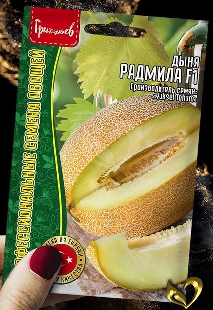 Семена Дыня Радмила F1, 4 шт - фото