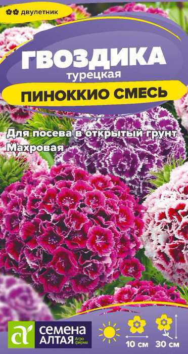 Семена Гвоздика Пиноккио турецкая смесь, 0,1 г - фото