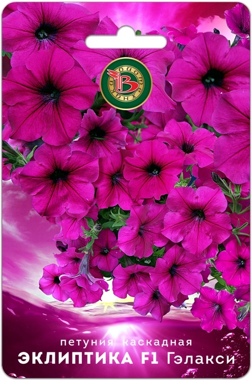 Семена Петуния каскадная Эклиптика F1 Гэлакси, 5 шт - фото