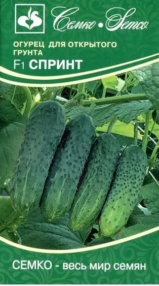 Семена Огурец Спринт F1, 0,5 г - фото