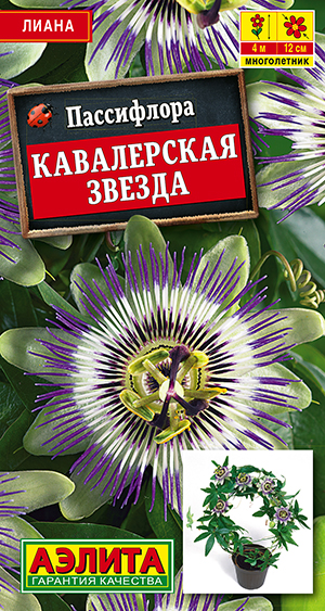 Семена Пассифлора Кавалерская звезда, 5 шт Аэлита - фото