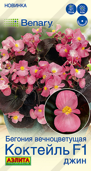 Семена Бегония вечноцветущая Коктейль F1 джин, 7 шт - фото