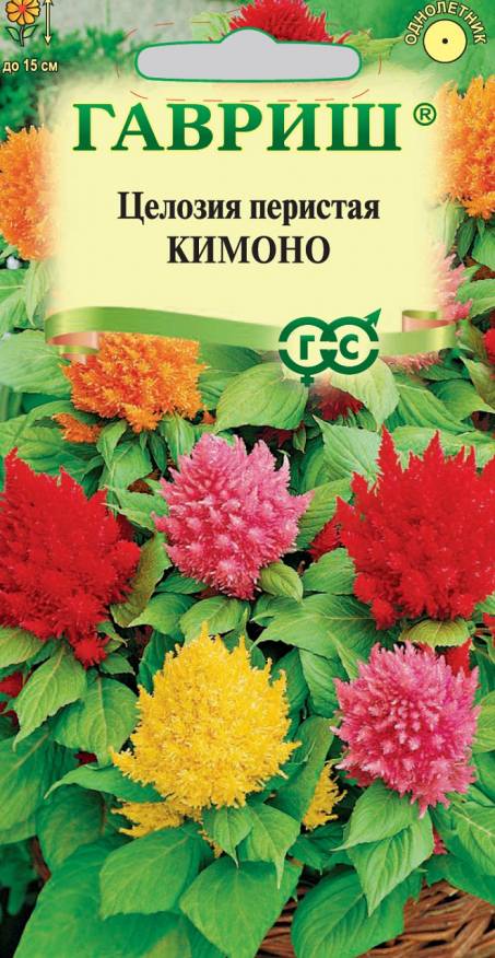Семена Целозия перистая Кимоно смесь, 0,01 г - фото