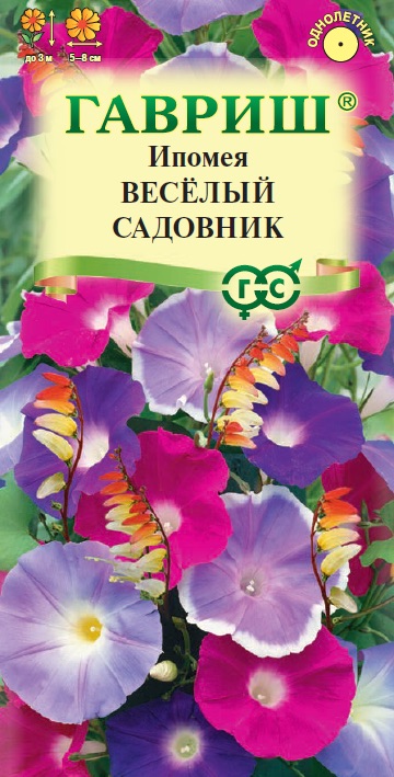 Семена Ипомея пурпурная Веселый садовник, 0,5 г - фото