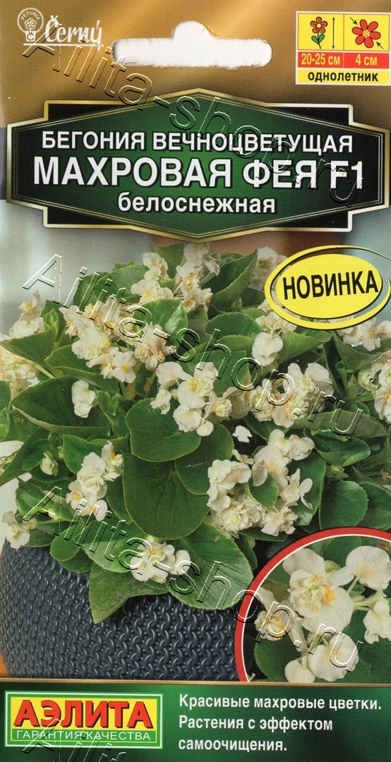 Семена Бегония вечноцветущая махровая Фея F1 белоснежная, 5 шт - фото