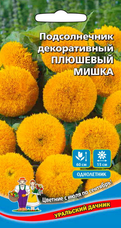 Семена Подсолнечник декоративный Плюшевый Мишка, 10 шт УД - фото