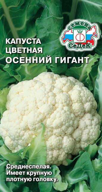 Семена Капуста цветная Осенний Гигант, 0,5 г - фото